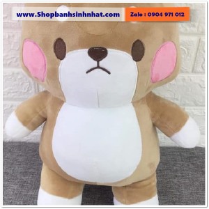 Gấu Bông Teddy Hàn Quốc - GAU25
